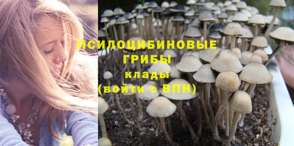 стафф Медвежьегорск