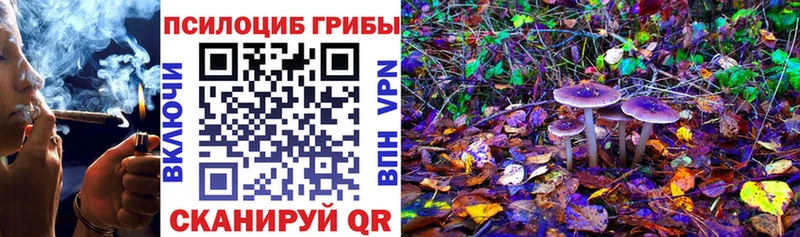 Галлюциногенные грибы ЛСД  Купить где  Хвалынск 